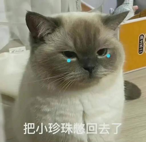 把小珍珠憋回去了