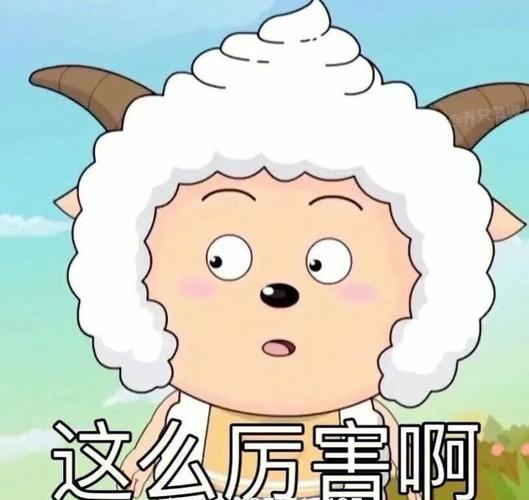 这么厉害啊