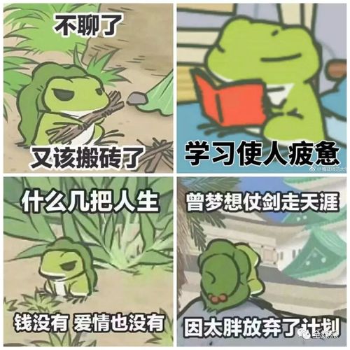 不聊了 又该搬砖了 学习使人疲惫 什么几把人生 曾梦想仗剑走天涯 钱没有爱情也没有 因太胖放弃了让
