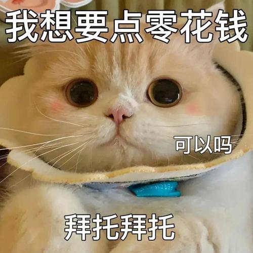我想要点零花钱 可以吗 拜托拜托