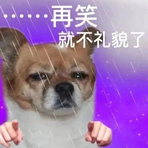 再笑 就不礼貌了