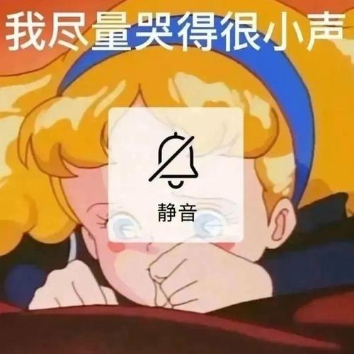 我尽量哭得很小声 静音