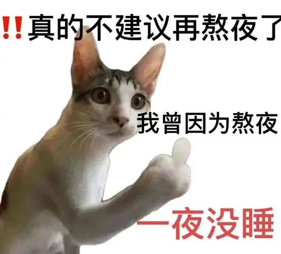 ！！真的不建议再熬夜了 我曾因为熬夜 一夜没睡
