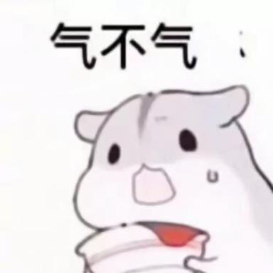 气不气