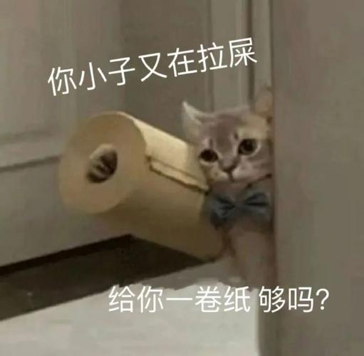 你小子又在拉屎 给你一卷纸够吗？