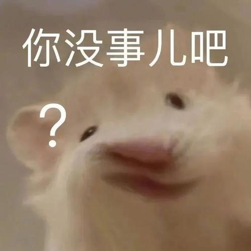 你没事儿吧