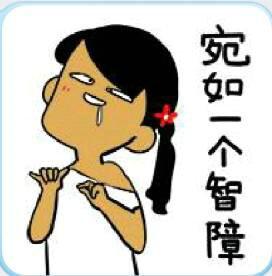 宛如一个智障