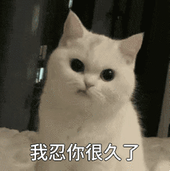 我忍你很久了