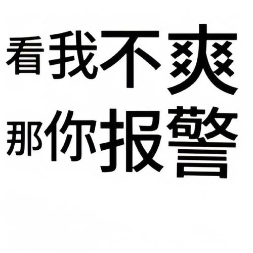看我不爽 你报警 那