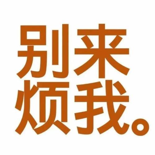 别来 烦我