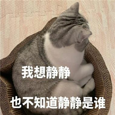 我想静静 也不知道静静是谁