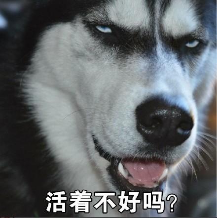 活着不好吗？