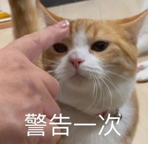 警告一次