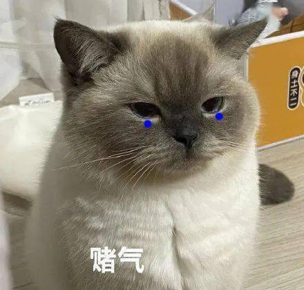 爵士不 司 赌气