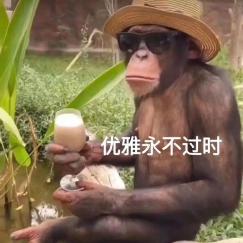 优雅永不过时