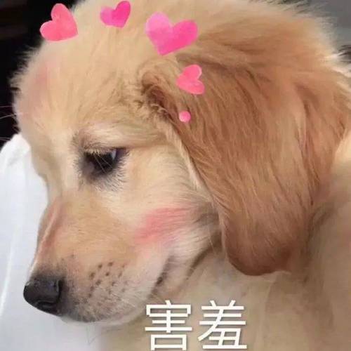 害羞