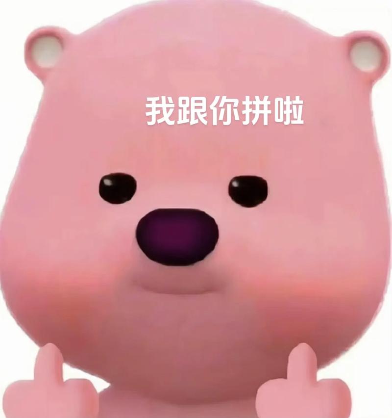 我跟你拼啦