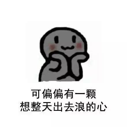可偏偏有一颗 想整天出去浪的心