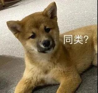 同类？
