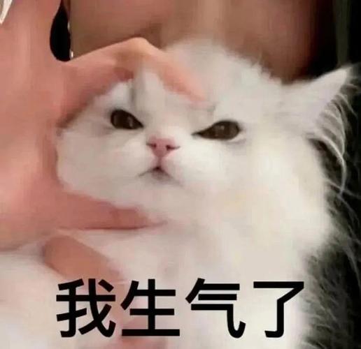 我生气了