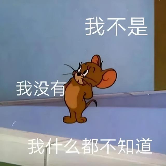 我不是 我没有 我什么都不知道