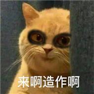 来啊造作啊