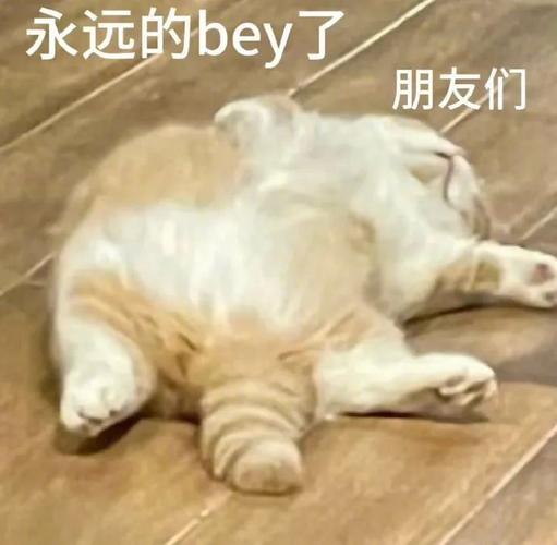 永远的bey了 朋友们
