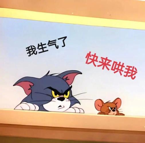 我生气了 快来哄我