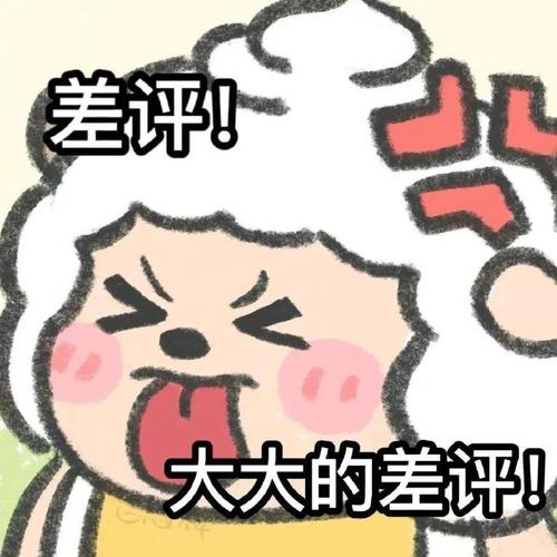 差评！ 大大的差评！