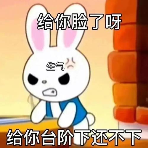 给你脸了呀 生气 给你台阶下还不下