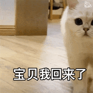 宝贝我回来了