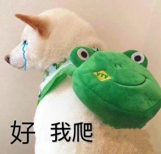 好 我爬