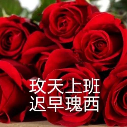 玖天上班 迟早瑰西