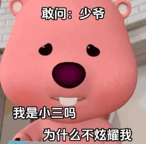 敢问：少爷 我是小三吗 为什么不炫耀我