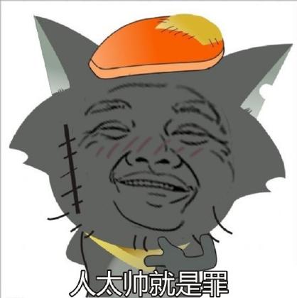 人太帅就是罪