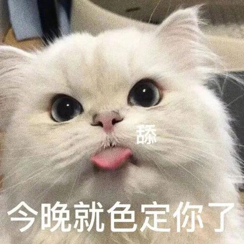 今晚就色定你了