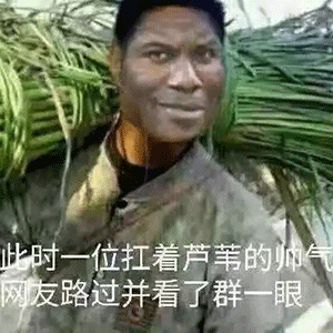 比时一位扛着芦苇的师气 网友路过并看了群一眼