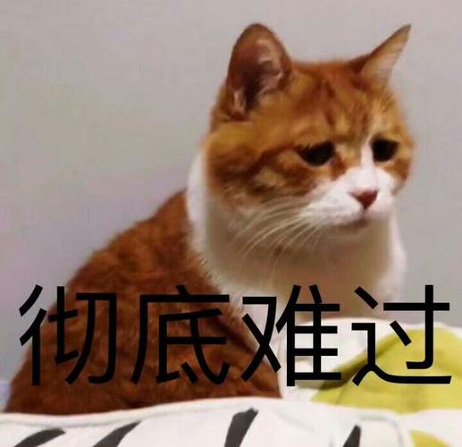 彻底难过