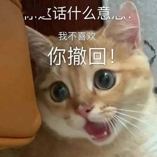 话什么意思 我不喜欢 你撤回！