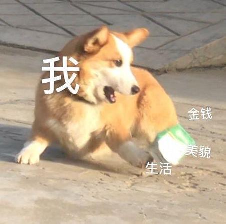 我 金钱 美貌 生活