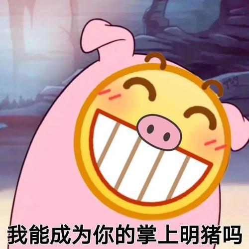 我能成为你的掌上明猪吗