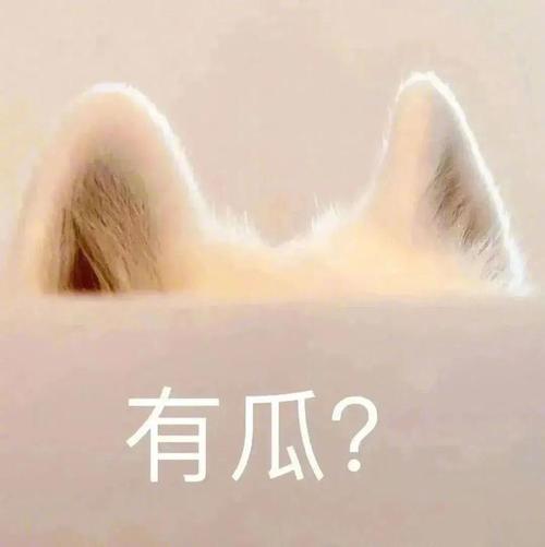 有瓜？