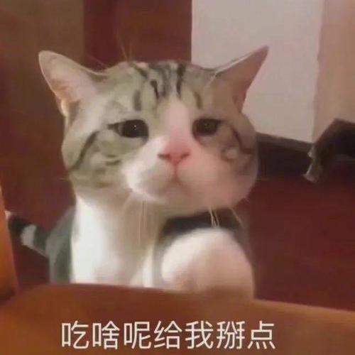 吃啥呢给我点