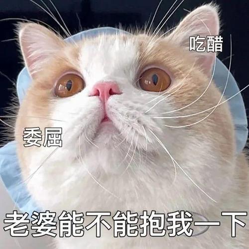 吃醋 委匾 老婆能不能抱我一下
