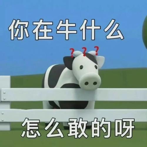 你在牛什么 怎么敢的呀