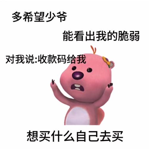 多希望少爷 能看出我的脆弱 对我说：收款码给我 想买什么自己去买