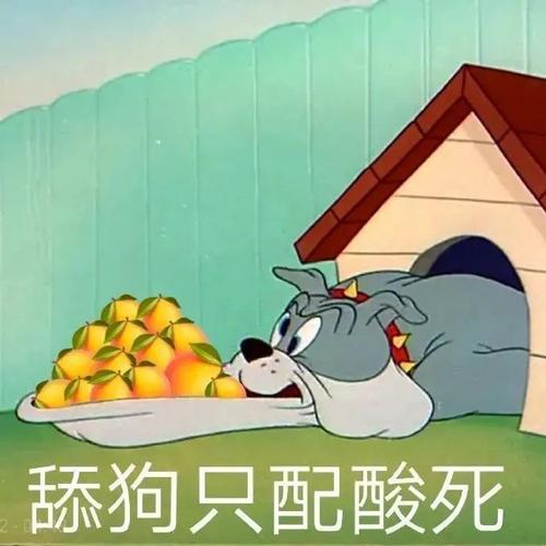 舔狗只配酸死