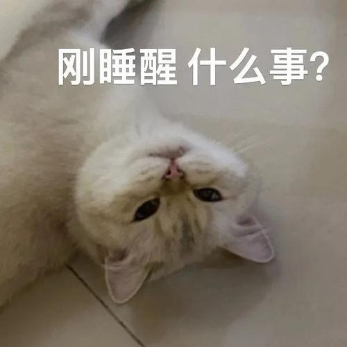 刚睡醒什么事？