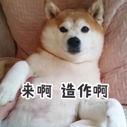 来啊造作啊