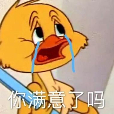 你满意了吗